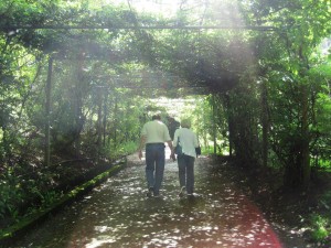 Lorne and Kathy-Lu walking down the Wisteria Walk at SunLinkSea
